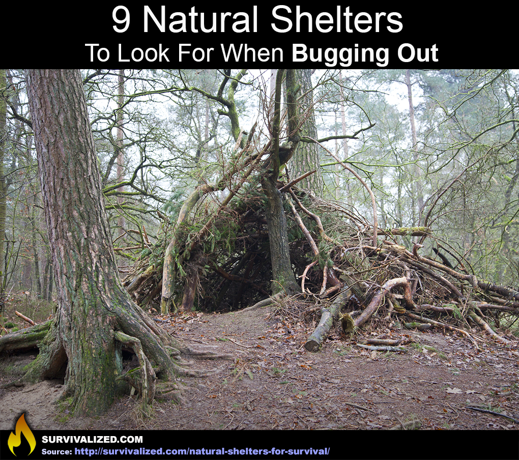 What Are Natural Shelters