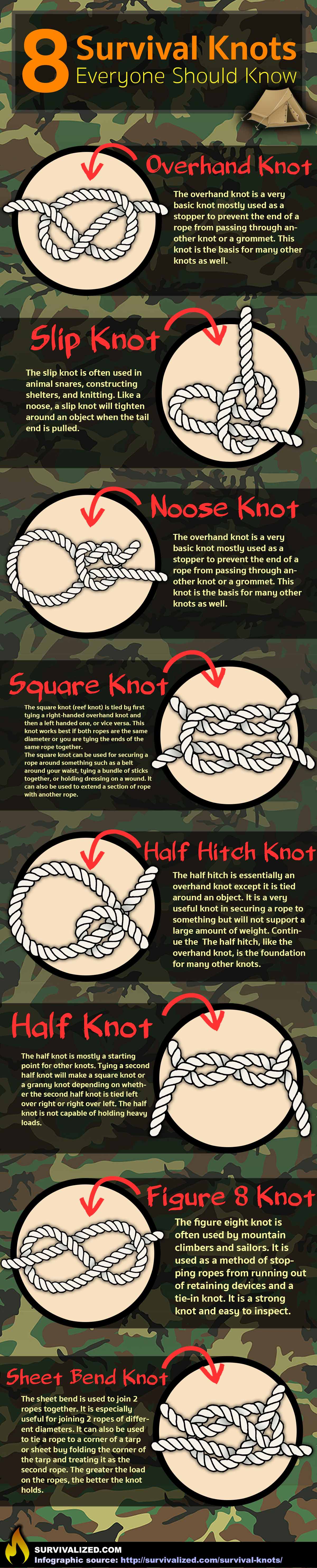 Amazing knots Survival-knots